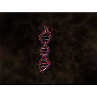 Double Helix 3D
