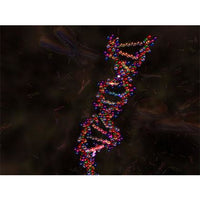 Double Helix 3D