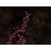 Double Helix 3D