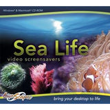 Sea Life - Video Screensavers (Download)