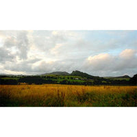 Live Relaxation - Video Screensavers (Download)