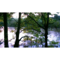 Living Rivers - Video Screensavers