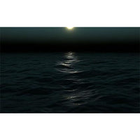 Living Summer Volume 1 - Video Screensavers (Download)