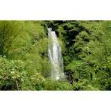 Living Waterfalls Volume 1 - Video Screensavers