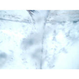 Living Water & Geysers - Video Screensavers