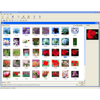 Quickstart Photo Montage Studio