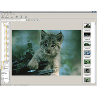 Quickstart Photo Morph Studio (Download)