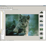 Quickstart Photo Morph Studio
