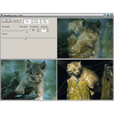 Quickstart Photo Morph Studio