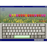 Quickstart Typing Master (Download)