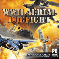 WWII Aerial Dogfight