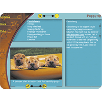 Easy Dog Training & Care
