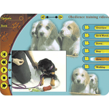 Easy Dog Training & Care