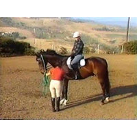 Easy Horseback Riding for Beginners