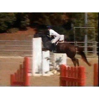 Easy Horseback Riding Jump & Ride Secrets