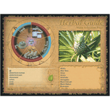 Herbal Guide (Download)