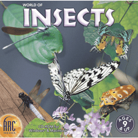 World of Insects