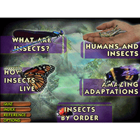 World of Insects