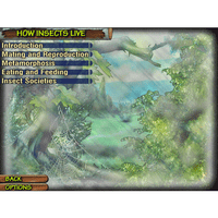 World of Insects (Download)