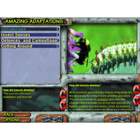 World of Insects