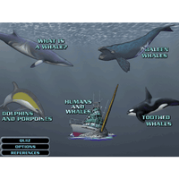 World of Whales