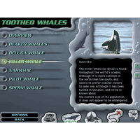 World of Whales