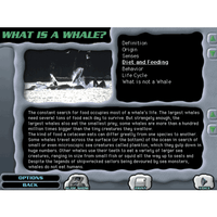 World of Whales