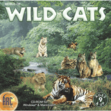 World of Wild Cats