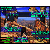 World of Wild Cats (Download)