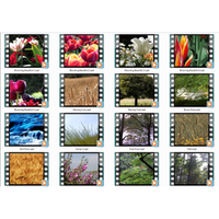 Nature's Wonders 1 Motion Loops