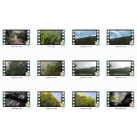 Nature in Motion Motion Loops (Download)