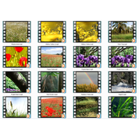 Nature's Wonders 2 Motion Loops (Download)