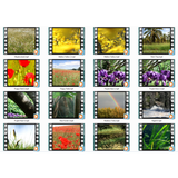 Nature's Wonders 2 Motion Loops (Download)