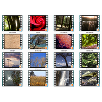 Nature's Wonders 2 Motion Loops (Download)