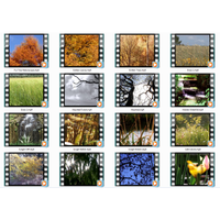 Nature's Wonders 1 Motion Loops