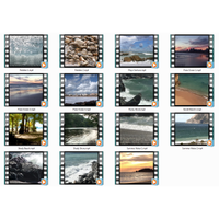 Beaches & Ocean Motion Loops