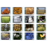 Nature's Wonders 1 GIF Motion Loops (Download)