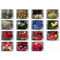 Nature's Wonders 1 Motion Loops