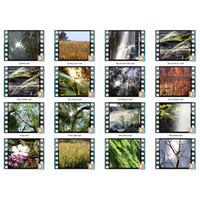 Nature's Wonders 2 Motion Loops (Download)