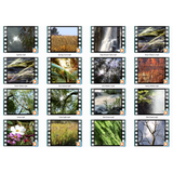 Nature's Wonders 2 Motion Loops (Download)